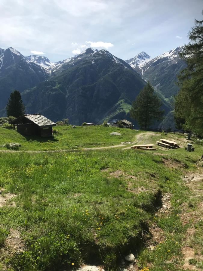 Ferienwohnung Edelweiss Grächen Exteriér fotografie